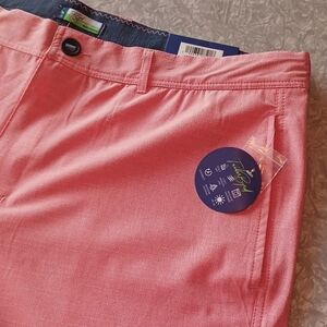 Tailor Bird ~ performance shorts